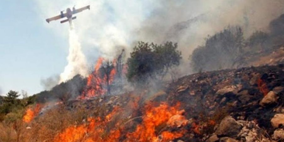 Ενεργοποιήθηκε το σχέδιο ΙΚΑΡΟΣ για την πυρκαγιά στην Τραχυπέδουλα